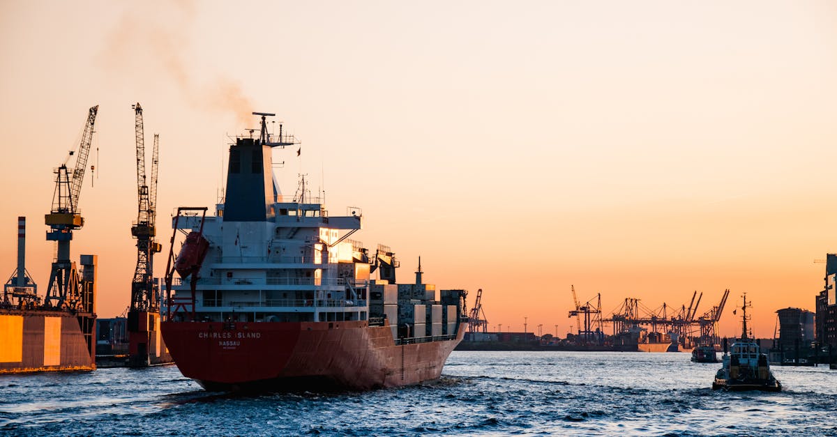 Stunning sunset view of cargo ships and cranes at the Port of Hamburg, epitomizing global trade and logistics.